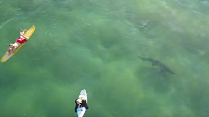 Https%3a%2f%2fblueprint api production.s3.amazonaws.com%2fuploads%2fstory%2fthumbnail%2f44000%2f98fadb48 a793 46a0 bf25 837ca17797e4