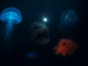 Meet the Most Bizarre Creatures of the Deep Ocean