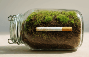 What Happens When You Bury Cigarettes for a Year?