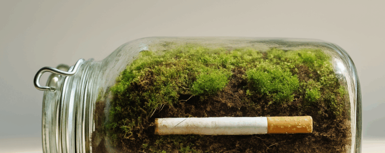 What Happens When You Bury Cigarettes for a Year?