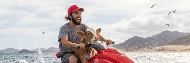 Baby Cow Refuses To Let Dad Jet Ski Alone