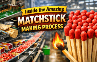 How Matchsticks Are Made in Factories