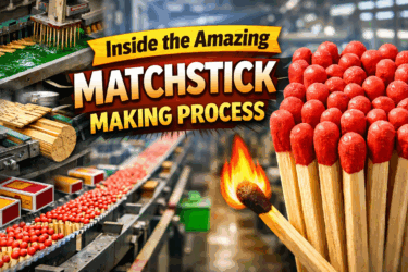How Matchsticks Are Made in Factories