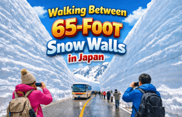 Walking Between 65-Foot Snow Walls in Japan
