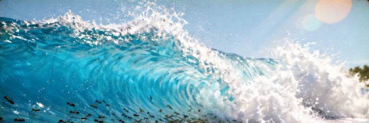 1,000 Ants vs Extreme Disasters