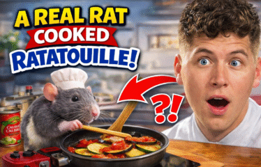 A Real Rat Cooked Ratatouille
